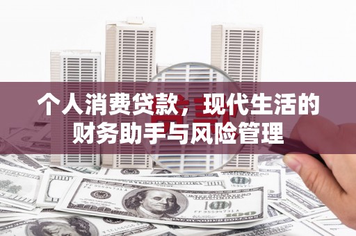 尼玛个人消费贷款，现代生活的财务助手与风险管理