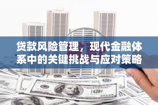 尼玛贷款风险管理，现代金融体系中的关键挑战与应对策略