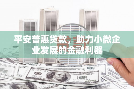 尼玛平安普惠贷款，助力小微企业发展的金融利器