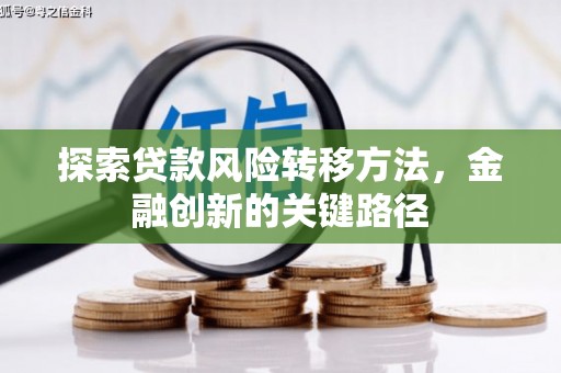 尼玛探索贷款风险转移方法，金融创新的关键路径