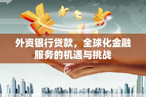 尼玛外资银行贷款，全球化金融服务的机遇与挑战