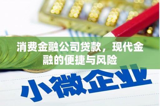 尼玛消费金融公司贷款，现代金融的便捷与风险