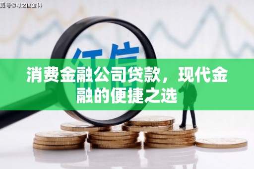 尼玛消费金融公司贷款，现代金融的便捷之选