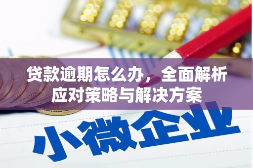 尼玛贷款逾期怎么办，全面解析应对策略与解决方案