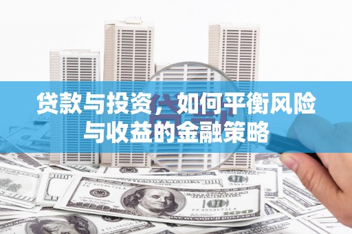 尼玛贷款与投资，如何平衡风险与收益的金融策略