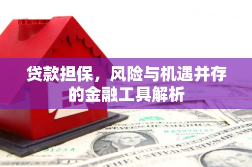 尼玛贷款担保，风险与机遇并存的金融工具解析