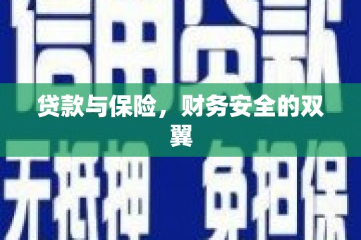 尼玛贷款与保险，财务安全的双翼