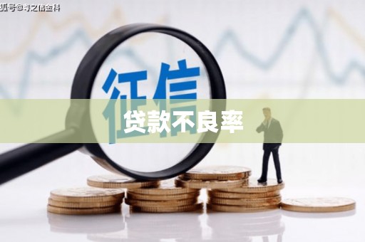 尼玛贷款不良率