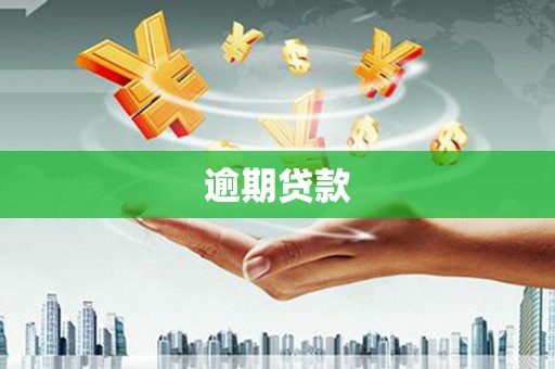 尼玛逾期贷款