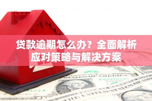 尼玛贷款逾期怎么办？全面解析应对策略与解决方案