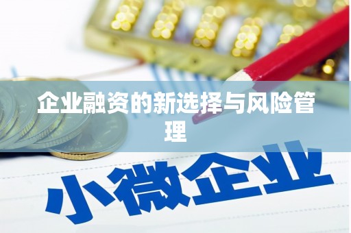 尼玛企业融资的新选择与风险管理