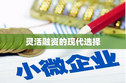 尼玛灵活融资的现代选择