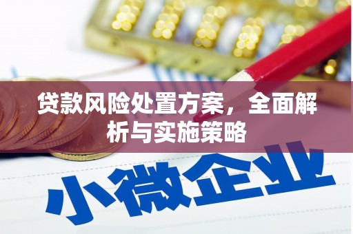尼玛贷款风险处置方案，全面解析与实施策略
