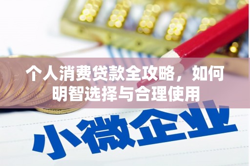 尼玛个人消费贷款全攻略，如何明智选择与合理使用