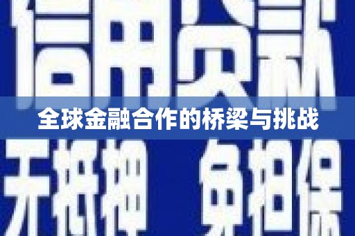 尼玛全球金融合作的桥梁与挑战