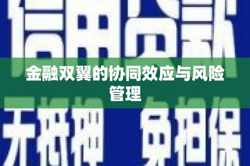 尼玛金融双翼的协同效应与风险管理