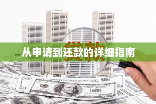 尼玛从申请到还款的详细指南
