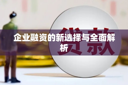 尼玛企业融资的新选择与全面解析