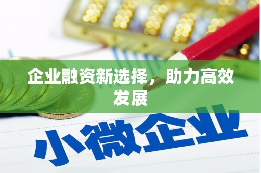 尼玛企业融资新选择，助力高效发展