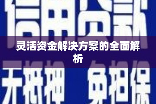 尼玛灵活资金解决方案的全面解析