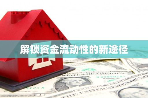 尼玛解锁资金流动性的新途径